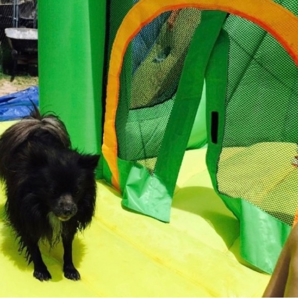 Néw offer please read it’s spectacular!🤗 - Picture 4 of 9